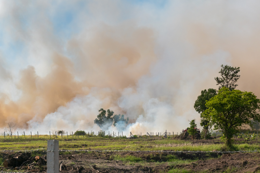 Open field with large plumes of smoke.