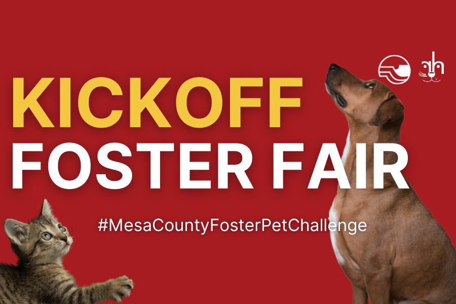 A cat and a dog with a red background reading "KICKOFF FOSTER FAIR, #MesaCountyFosterPetChallenge"