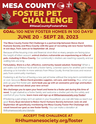 Red and yellow Mesa County Foster Pet Challenge flyer containing all challenge information. 