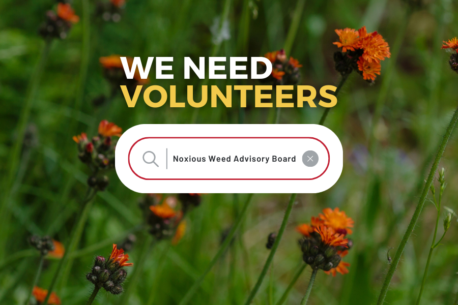 Background of orange weeds reading "WE NEED VOLUNTEERS", "mesacounty.us"