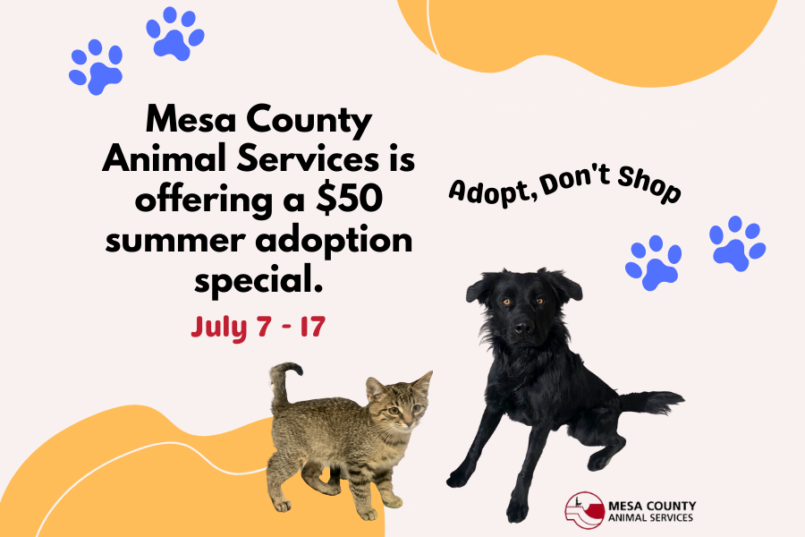 Graphic including multicolored cat and black dog at the bottom and blue paw print elements in background reading "Mesa County Animal Services is offering a $50 summer adoption special. April 14 - 30" on the left of the graphic. To the right of that text reads "Adopt, Don't Shop". The Mesa County Animal Services logo is included on the bottom right of the graphic. 