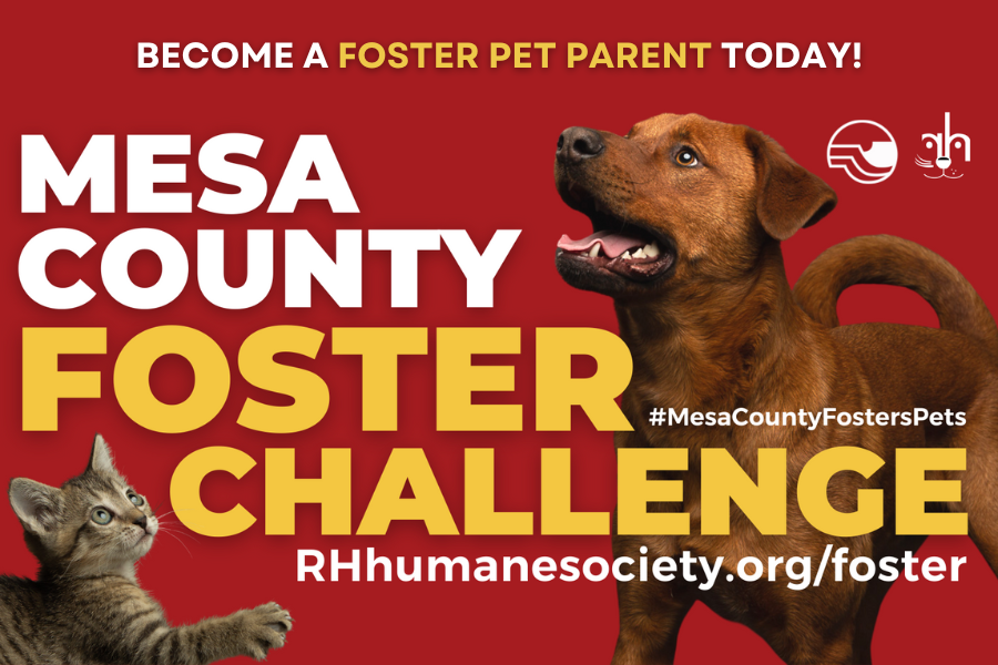 Graphic of dog and cat with text reading "MESA COUNTY FOSTER CHALLENGE".