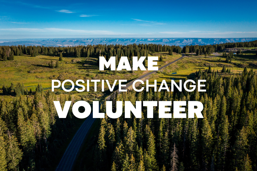 Aerial shot of pine trees and blue sky with white text reading "MAKE POSITIVE CHANGE VOLUNTEER".