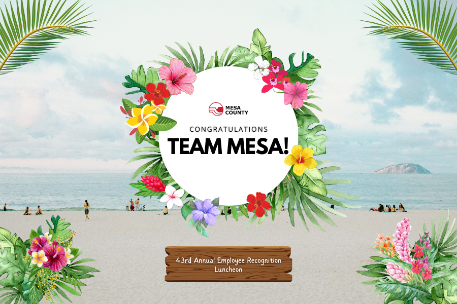 Tropical themed graphic reading "Congratulations Team Mesa!"
