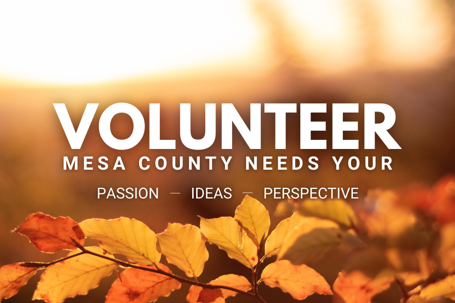 Orange and yellow fall leaves with text reading "Volunteer Mesa County needs your passion ideas perspective".