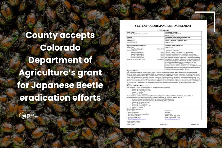 Pile of Japanese Beetle's with a white document over the top with black text too small to read and white text to the left reading, "County accepts Colorado Department of Agriculture's grant for Japanese Beetle eradication efforts."