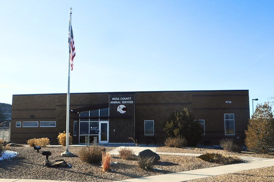 Brick building that says, "Mesa County Animal Services" with a =n American flag outside. 